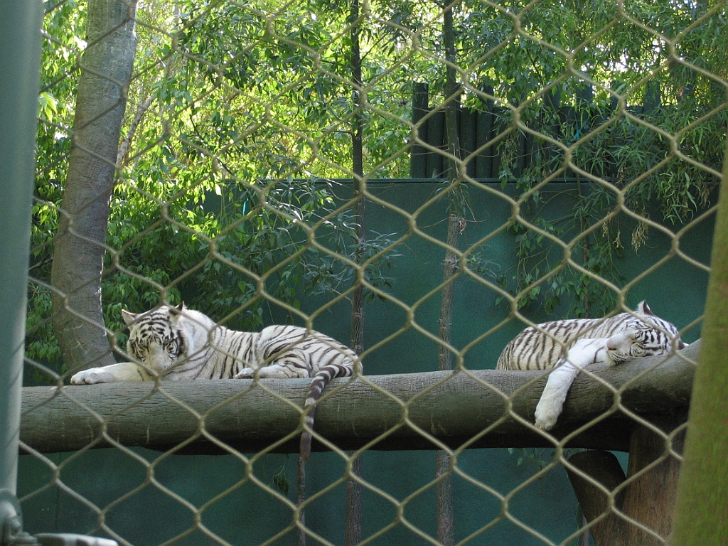 068 Secret Garden Mirage.jpg